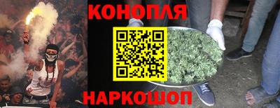 шишки Ачхой-Мартан