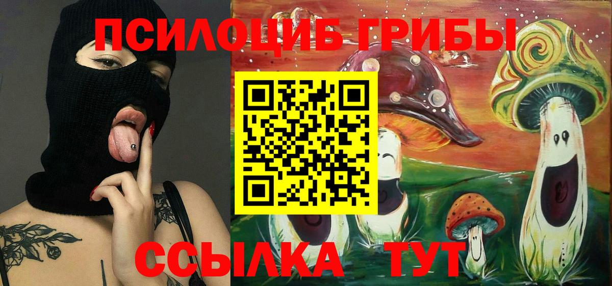 Галлюциногенные грибы Psilocybe  Вход с VPN  купить наркотик  Звенигород  Псилоцибиновые грибы мухоморы 